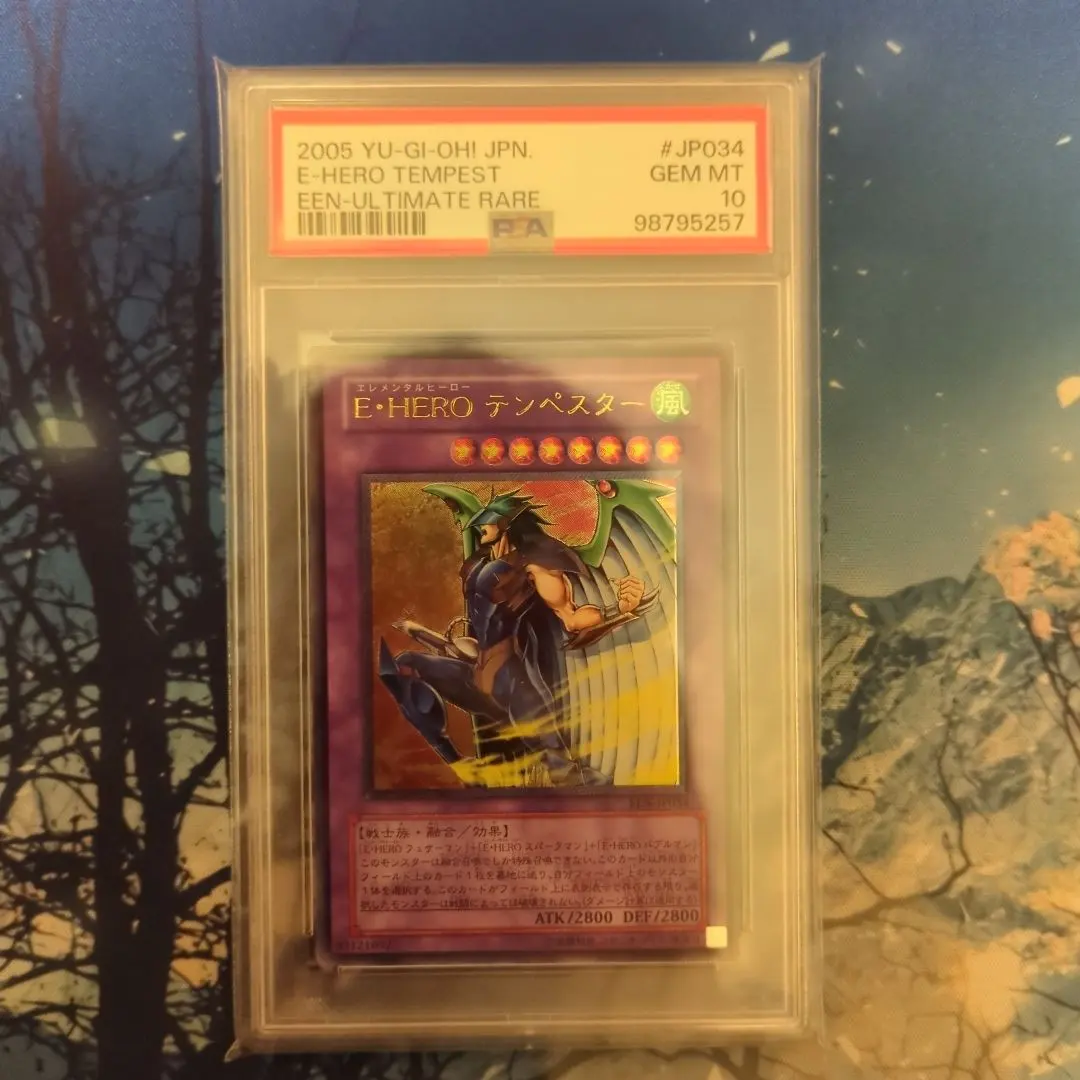 2026年最新】レリーフ psa10 e・heroの人気アイテム - メルカリ