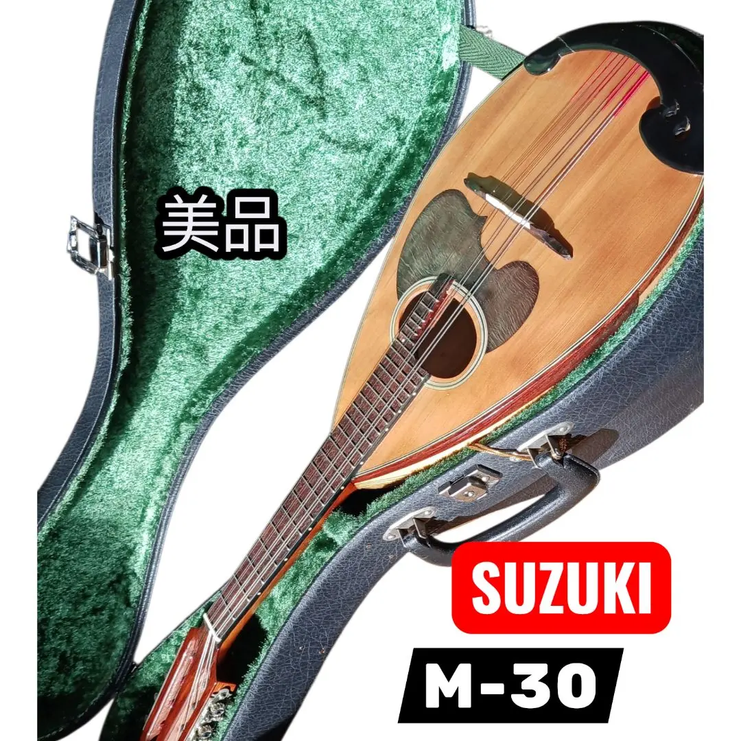 2026年最新】マンドリン M-30の人気アイテム - メルカリ