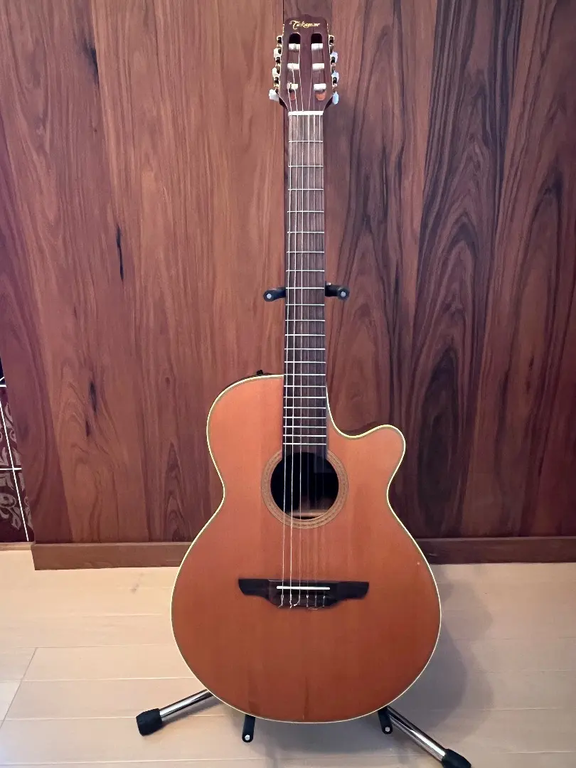 2026年最新】takamine npt-110の人気アイテム - メルカリ