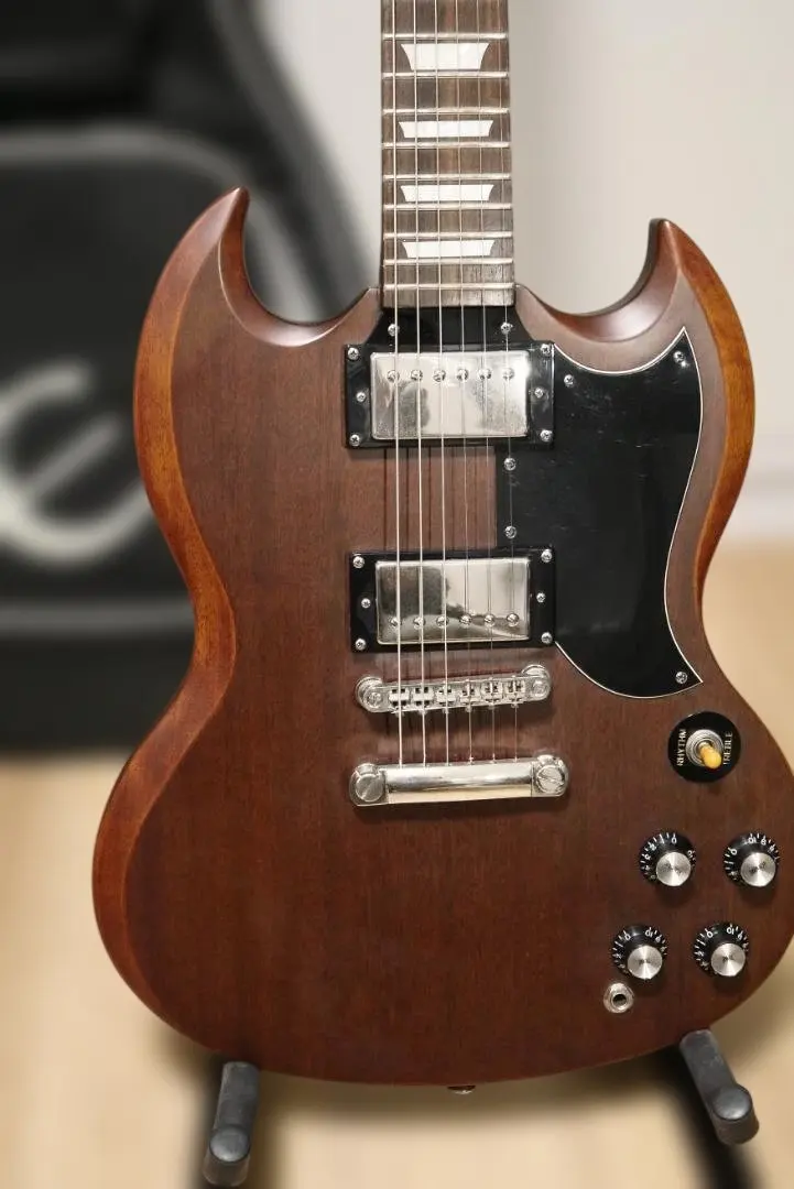 2026年最新】EPIPHONE G-400の人気アイテム - メルカリ