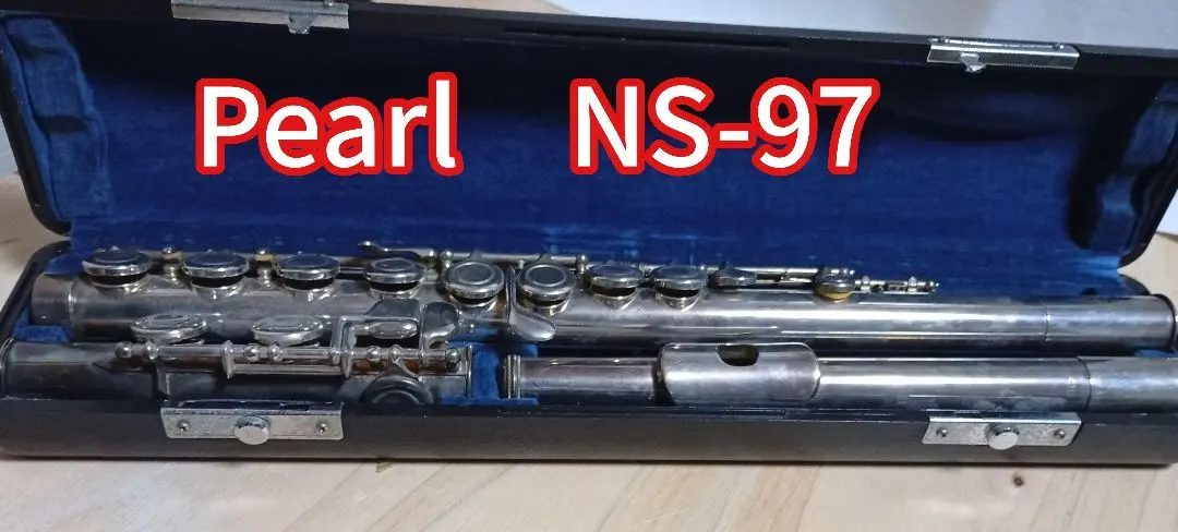 2026年最新】フルート Pearl NS-97の人気アイテム - メルカリ