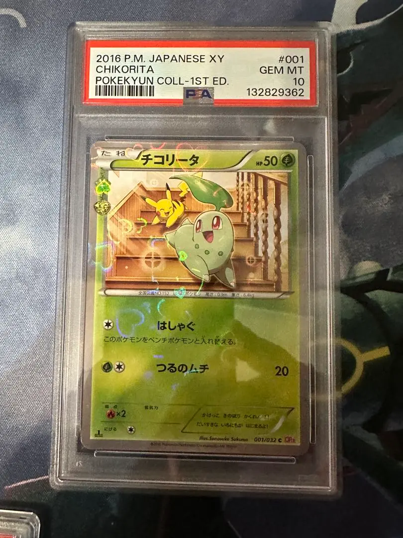 2026年最新】チコリータ ポケキュン psa10の人気アイテム - メルカリ