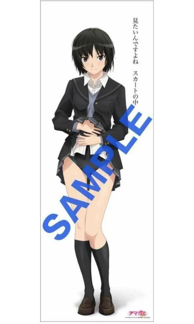 2026年最新】アマガミ 布ポスターの人気アイテム - メルカリ
