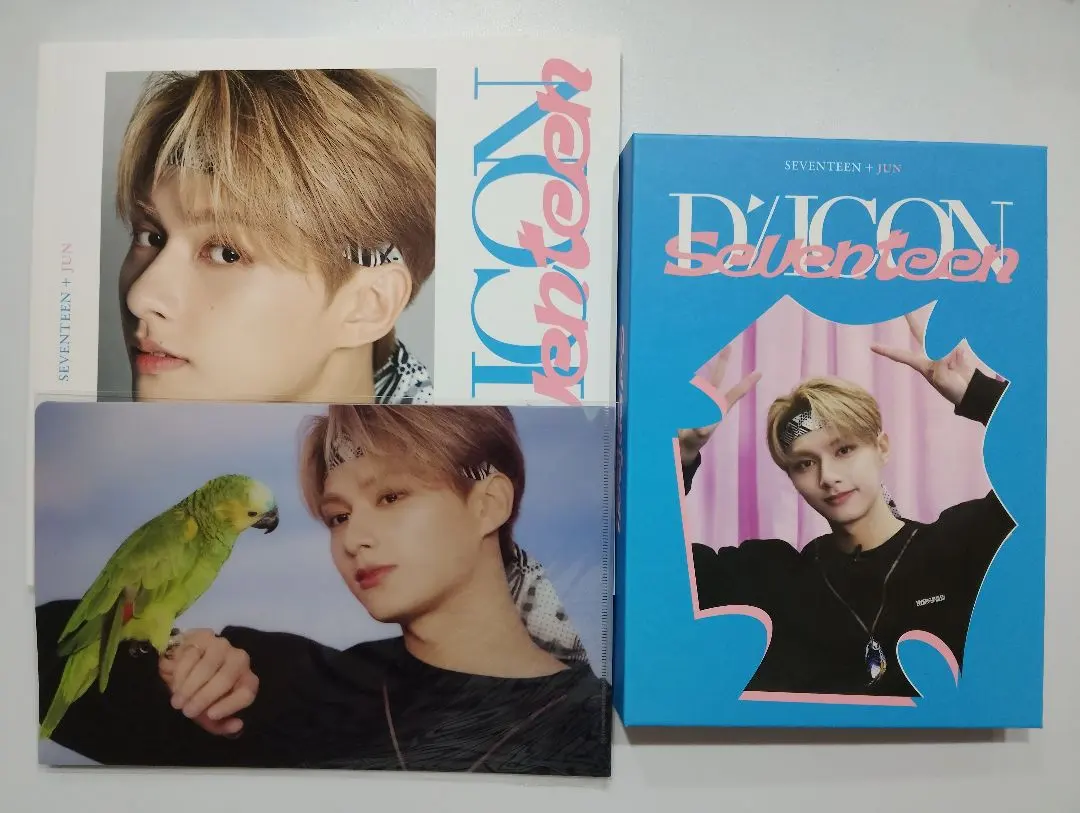 2026年最新】dicon seventeen ジュンの人気アイテム - メルカリ