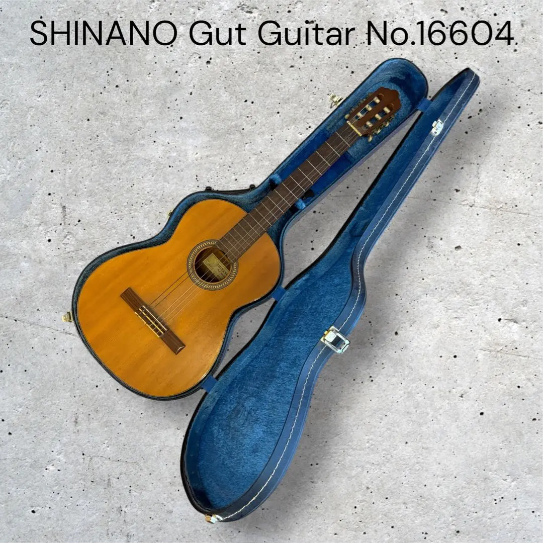 2026年最新】SHINANO GUITARの人気アイテム - メルカリ
