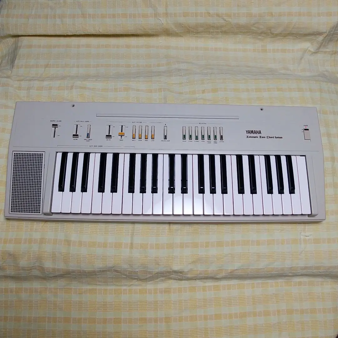 2026年最新】CASIO PS-20の人気アイテム - メルカリ