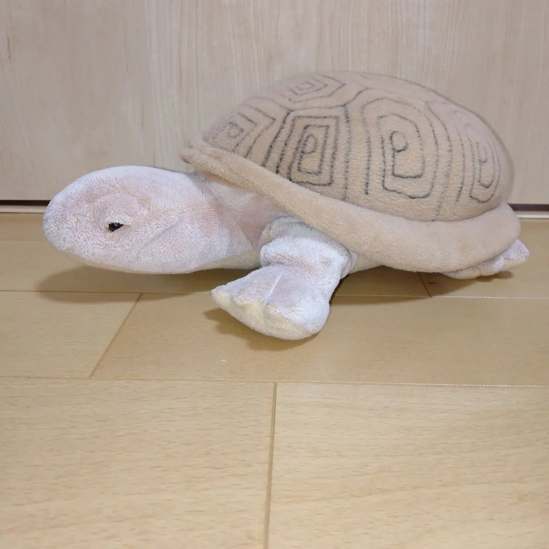 2026年最新】リクガメ ぬいぐるみの人気アイテム - メルカリ
