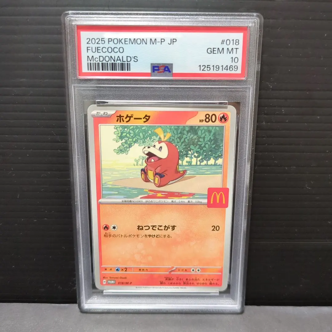 2026年最新】ホゲータ AR psa10の人気アイテム - メルカリ