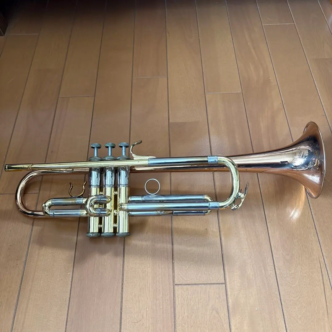 2026年最新】kawai トランペットの人気アイテム - メルカリ