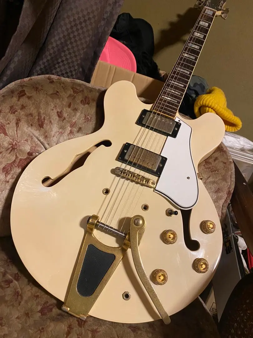 2026年最新】samick セミアコの人気アイテム - メルカリ