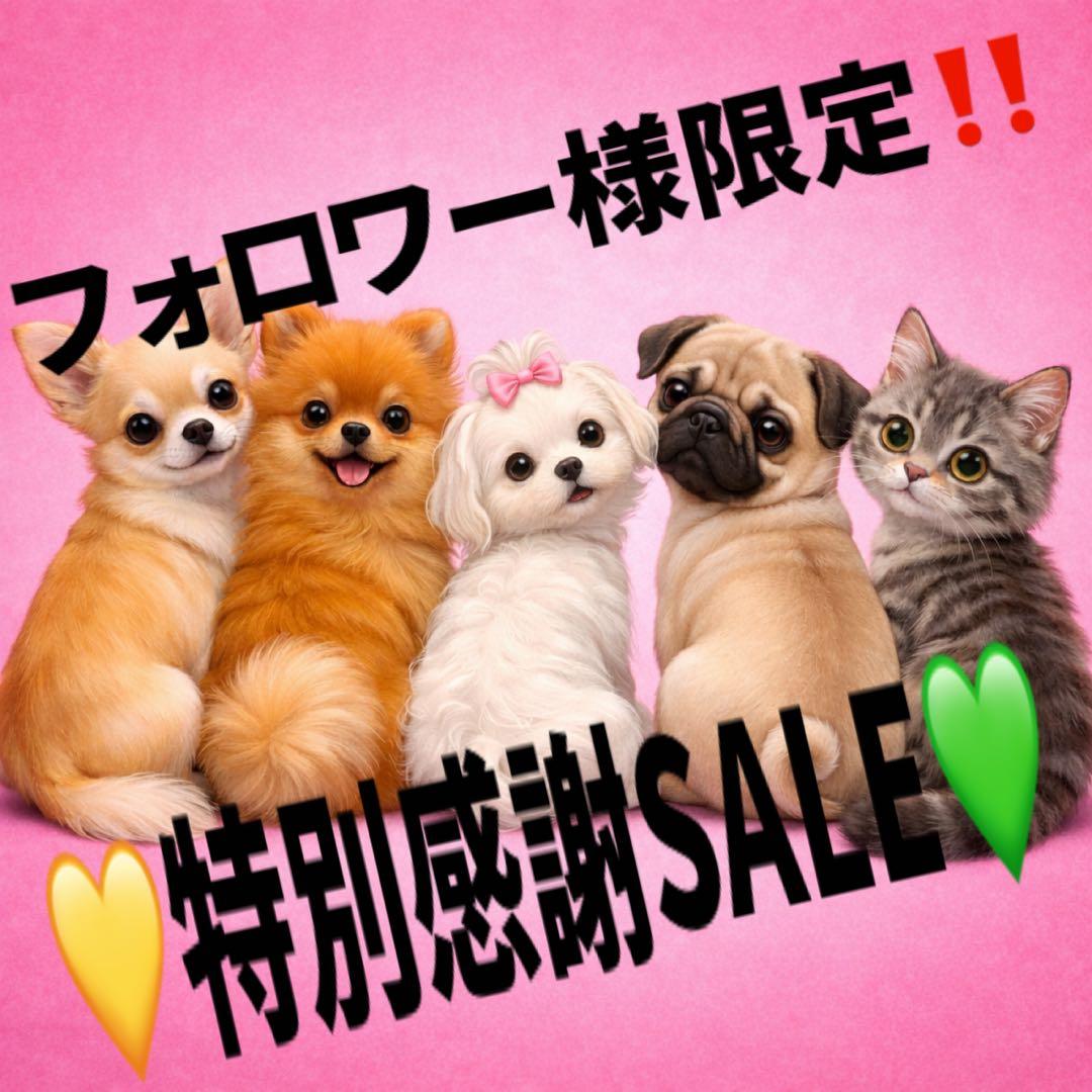 フォロワー様限定‼️特別感謝祭SALE‼️ パネル生地 チワワ