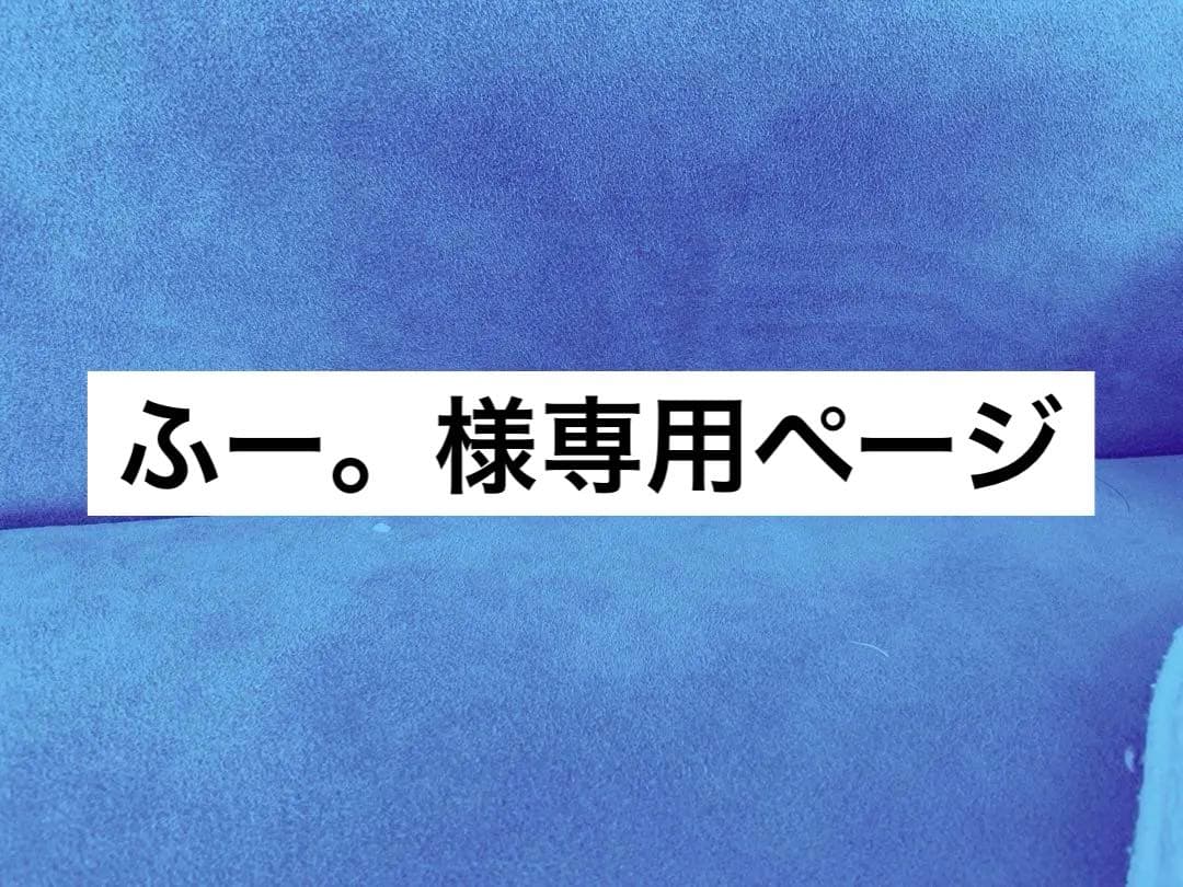 専用の方以外の購入はご遠慮ください - メルカリ