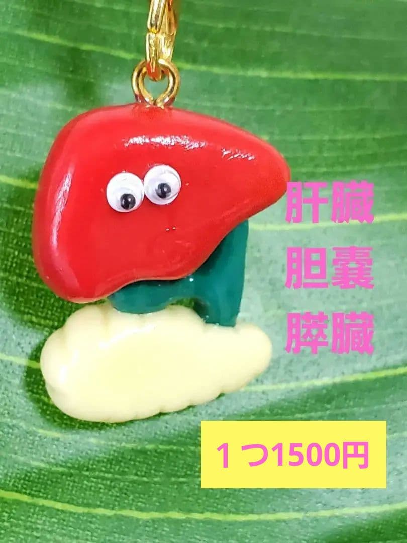 肝臓胆嚢膵臓 手作り 臓器 キーホルダー ハンドメイド - メルカリ
