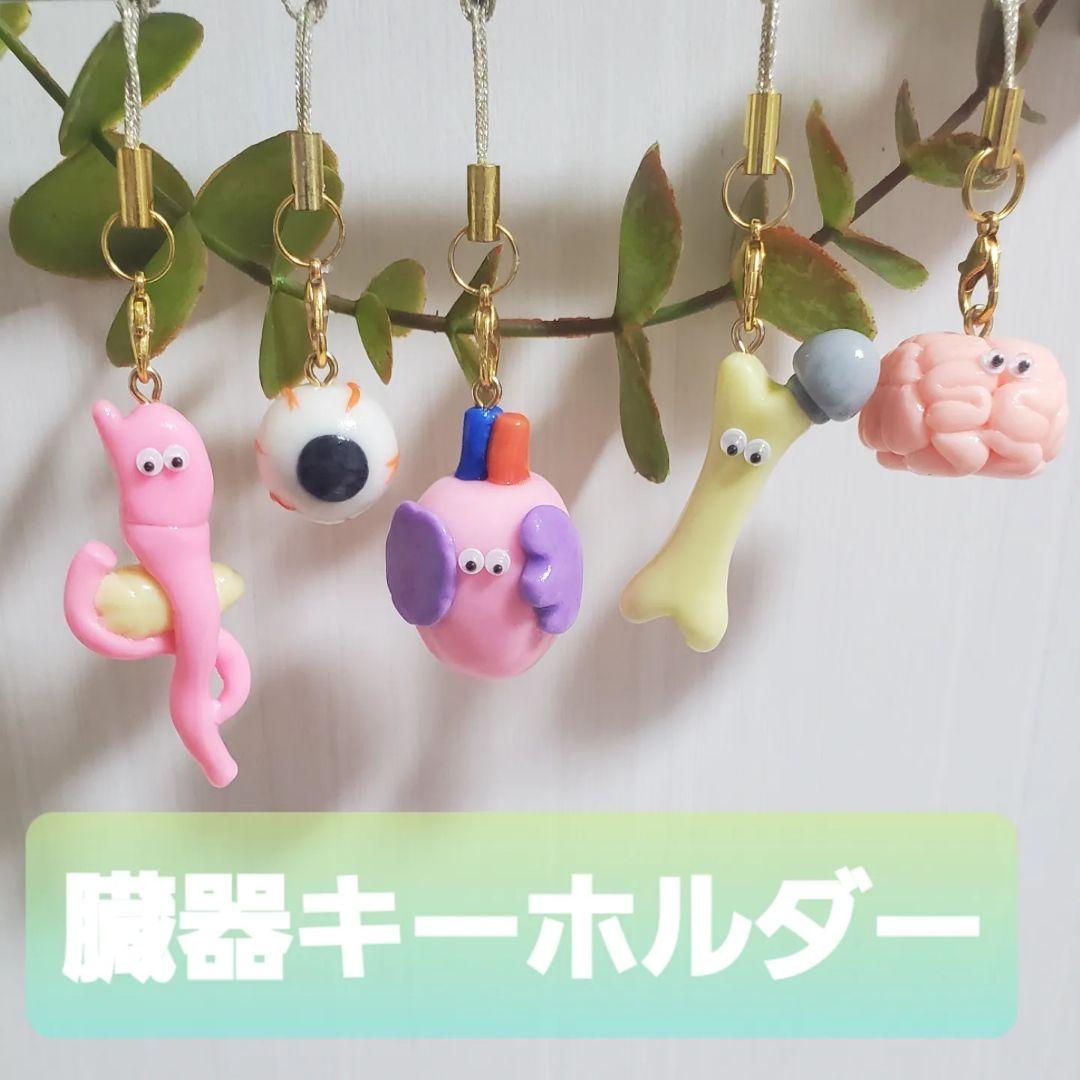 肝臓胆嚢膵臓 手作り 臓器 キーホルダー ハンドメイド - メルカリ