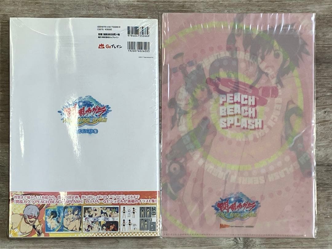 イラスト集 + A4クリアファイル 閃乱カグラ PBS イラスト集 店舗限定