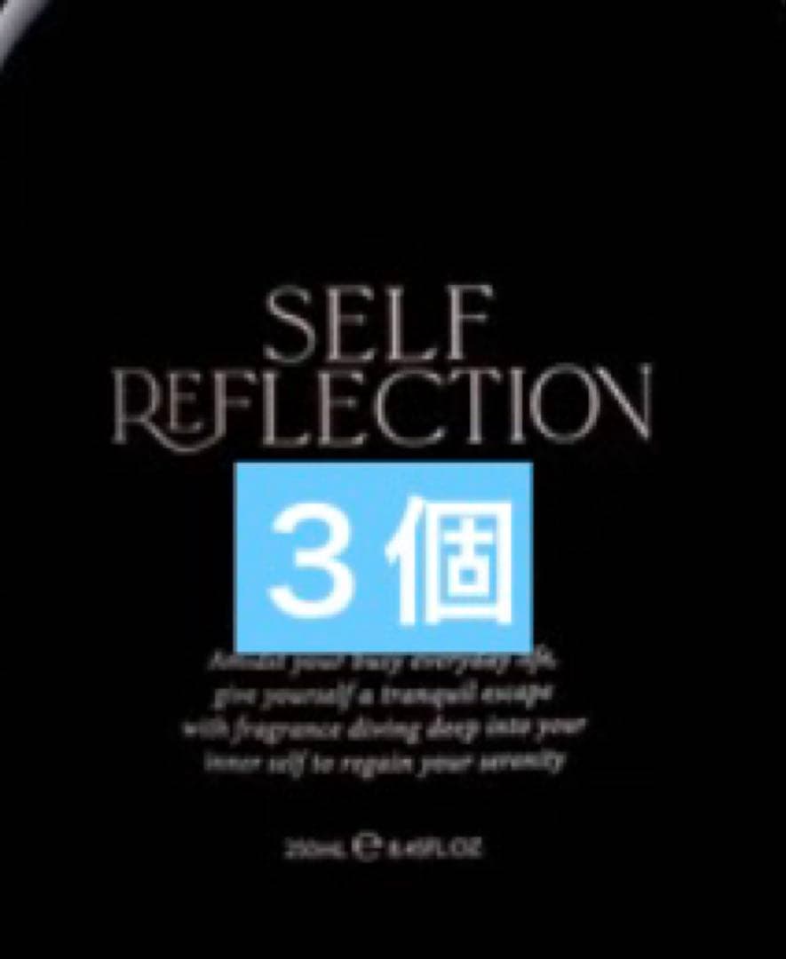 SELF REFLECTION ザハンドウォシュ ノクターナル アース SELF REFLECTION】ザ ハンドウォッシュ NOCTURNAL EARTH ｜ハンドケア