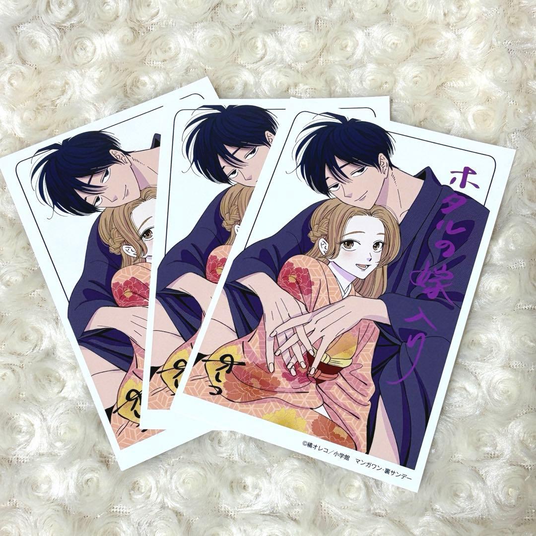 ホタルの嫁入り イラストカード 橘オレコ マンガワン裏サンデー 特典 3