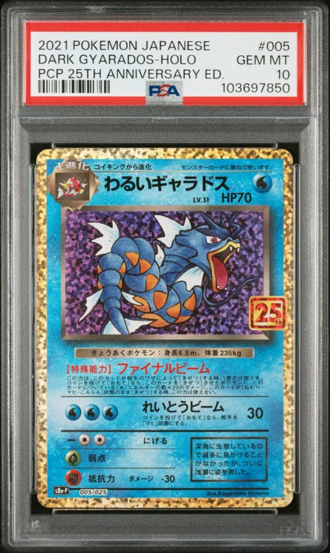 PSA10 連番 ひかるコイキング，わるいギャラドス 25th プロモ PSA10 連