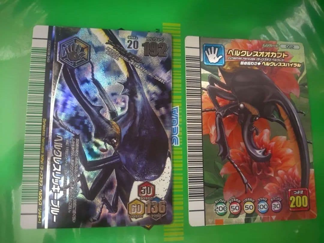 ムシキング　5周年　ヘラクレスオオカブト　アダー完結編　ヘラクレスリッキーブルー 50万円で購入した「ヘラクレスリッキーブルー」の最後の子孫が羽化