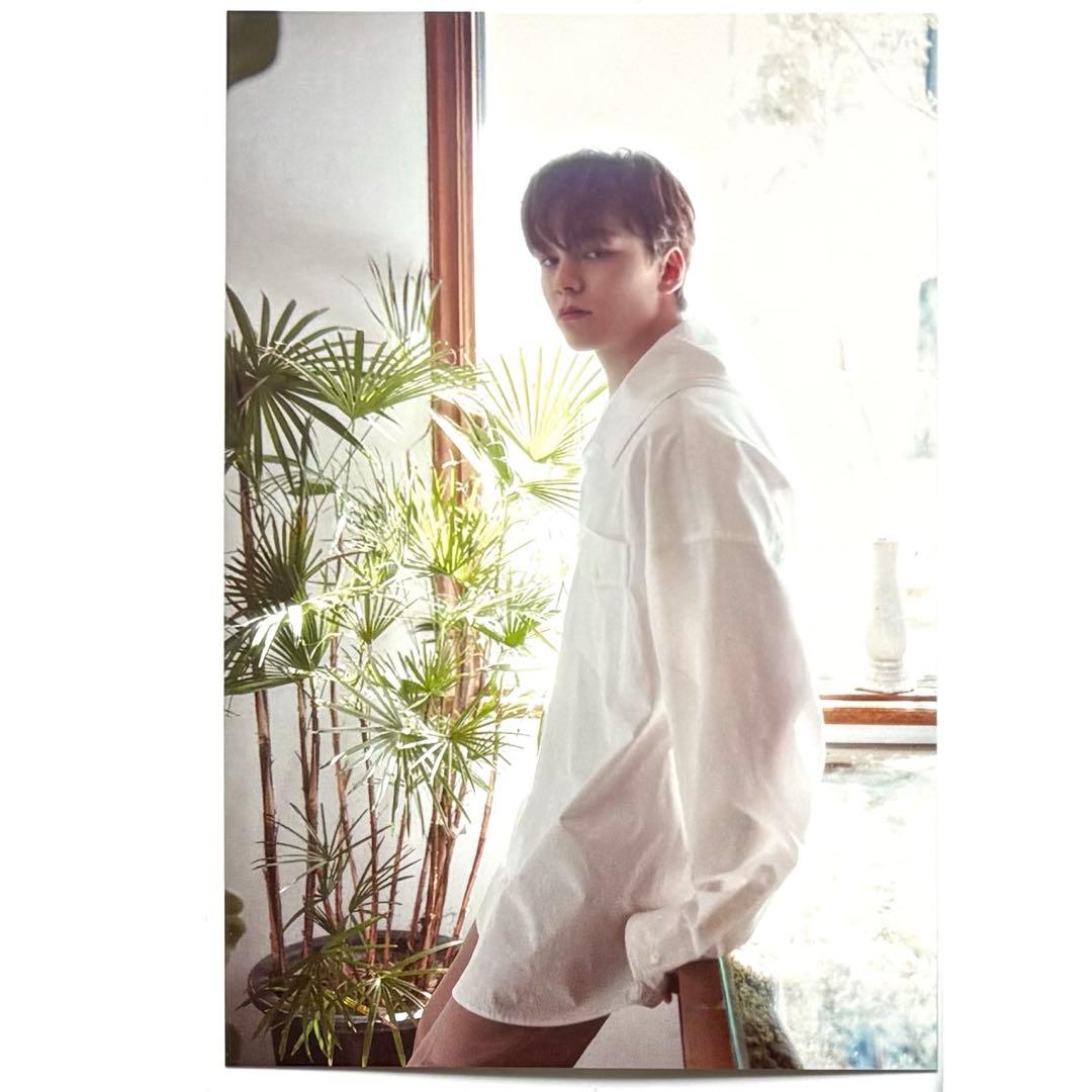 seventeen 缶バッジ ミンハオ ジュン ウォヌ ウジ ホシ anan - メルカリ
