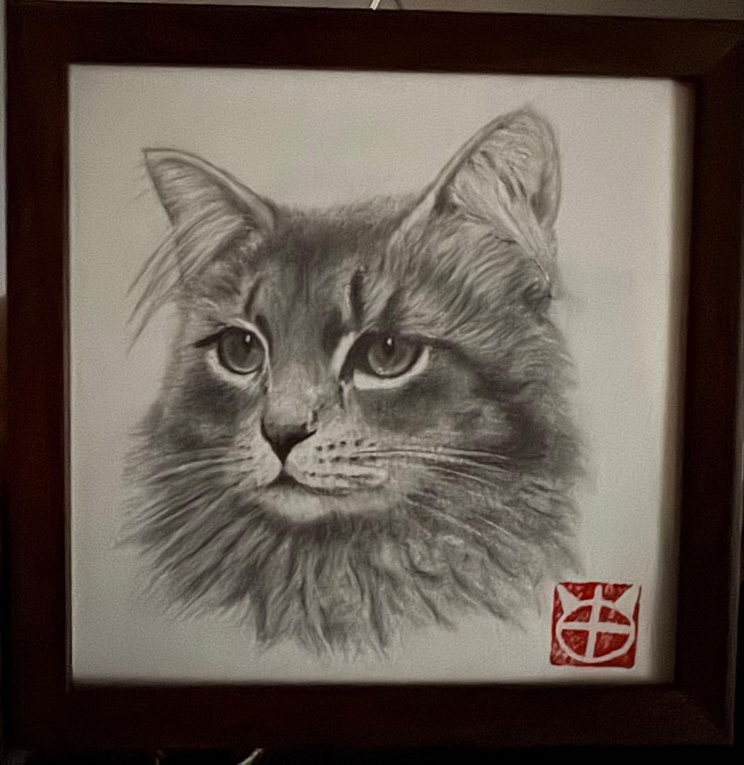 猫の鉛筆画 フレーム付き 猫の鉛筆画 原画 額付き 絵画 solaris 通販 3106203｜Creema(クリーマ