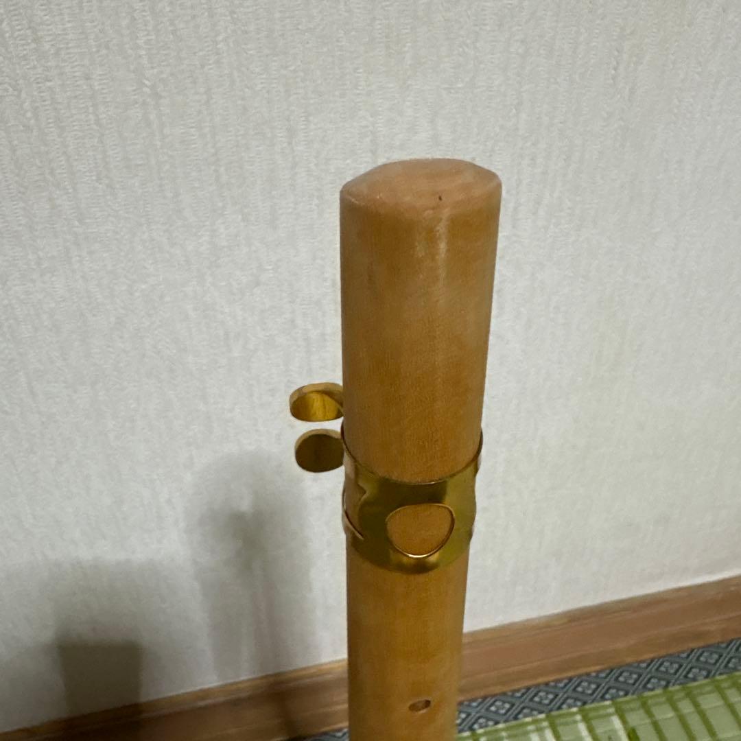 カメレオン ウッドサックス 管楽器 笛 サックス 民族楽器 リガーチャ