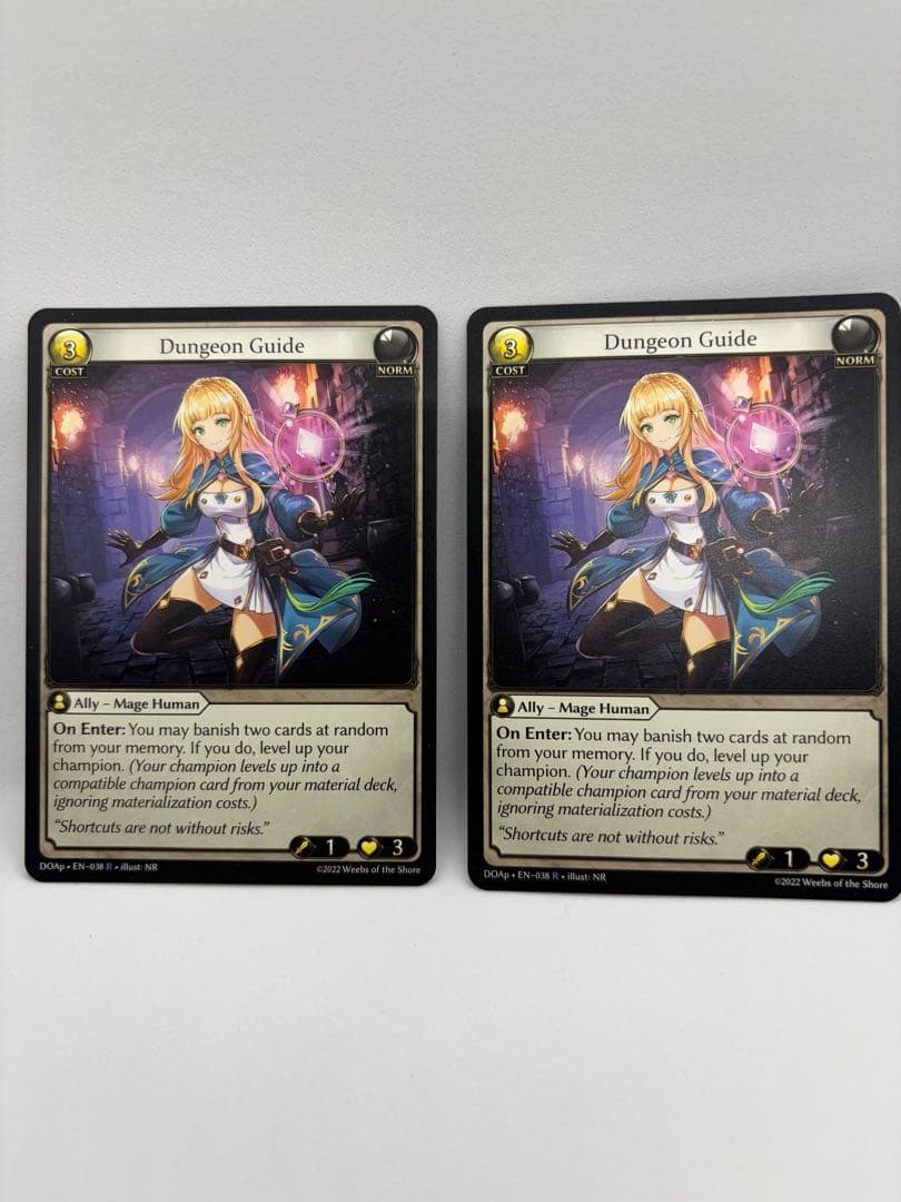 Grand Archive Dungeon Guide×2