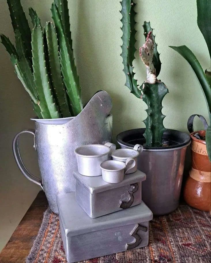 ジャーナルスタンダードファニチャー 植木鉢 イデー プエブコ ミッド