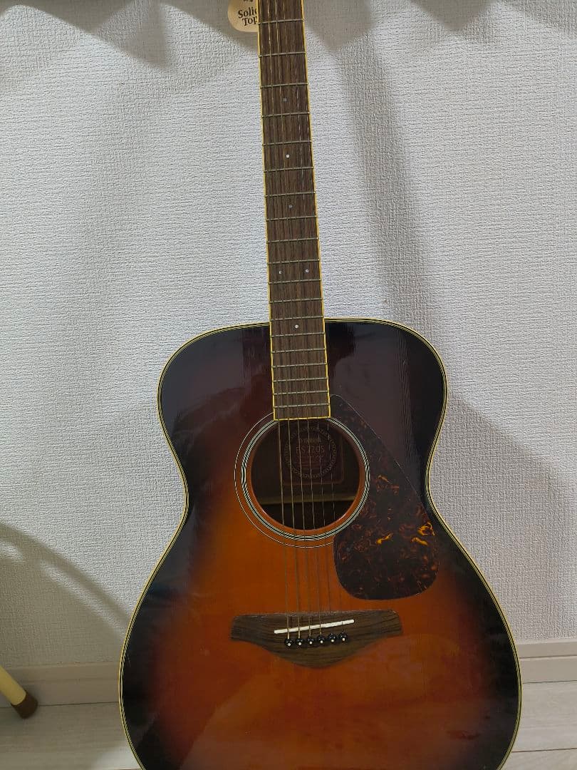 fender Gemini2 激レア アコースティックギター 中古 ロスで購入