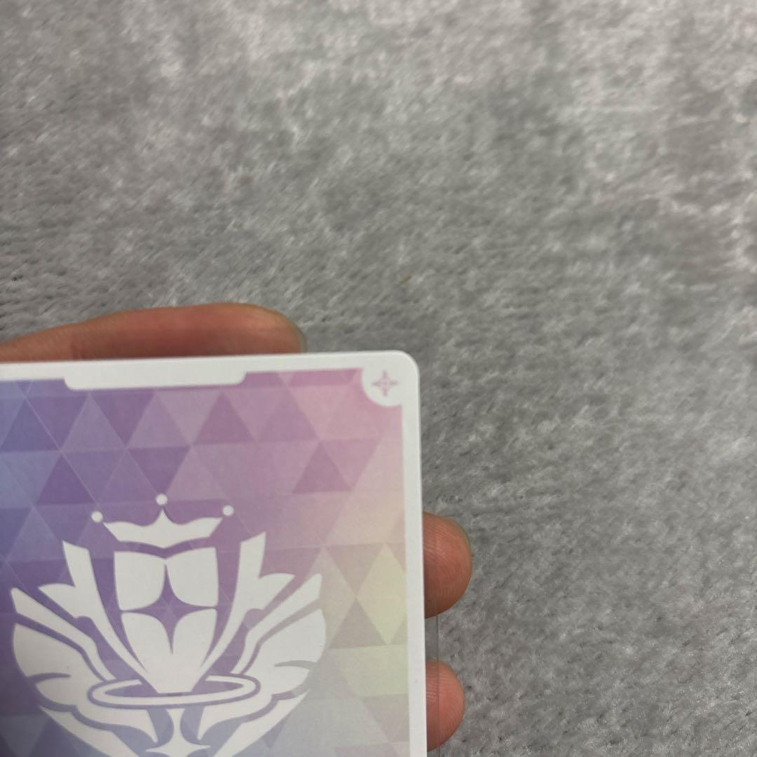 ホロカ　ラオーラ・パンテーラ　sec