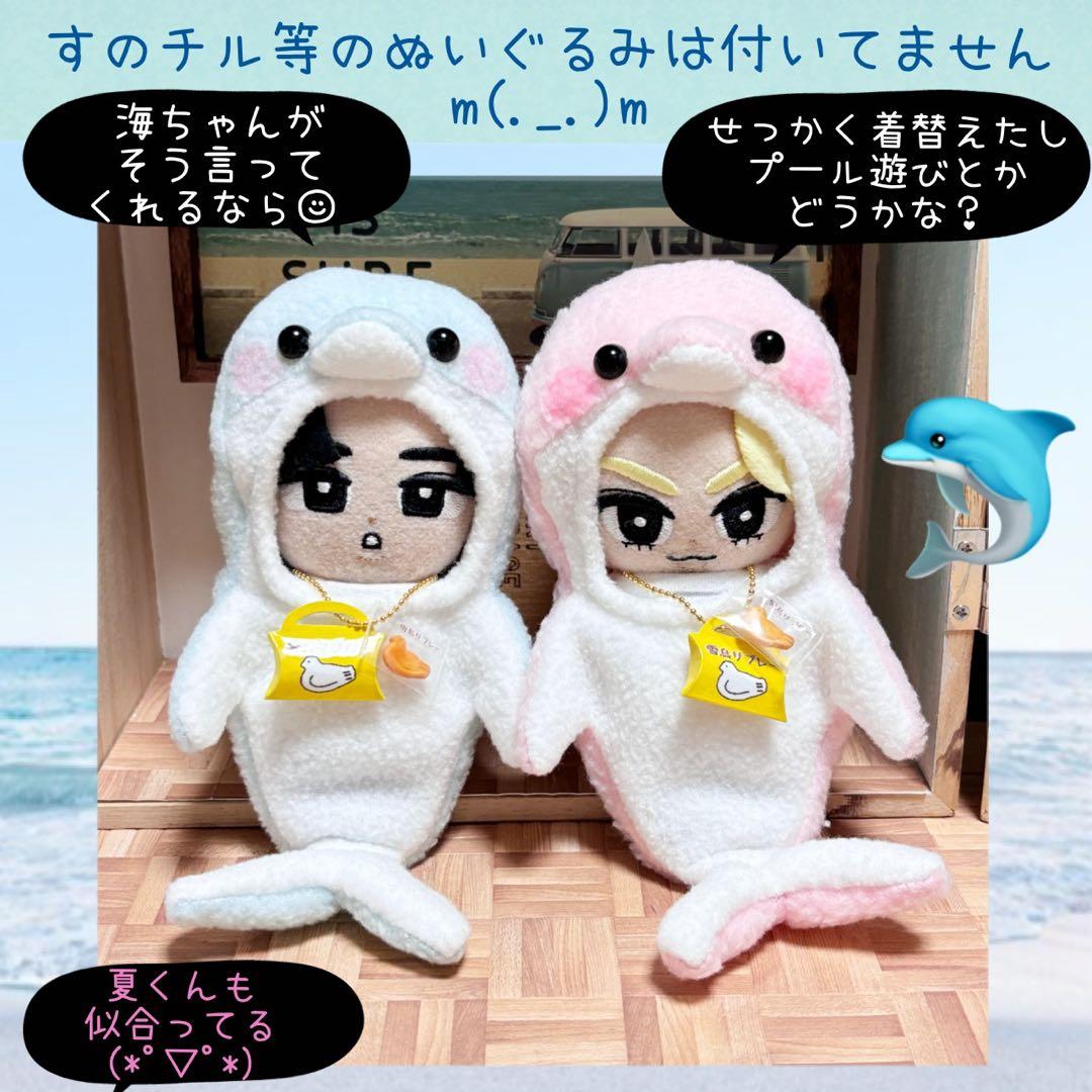 すのチル 服 小物 海のイルカちゃんコスと雪鳥サブレーSET オーダー