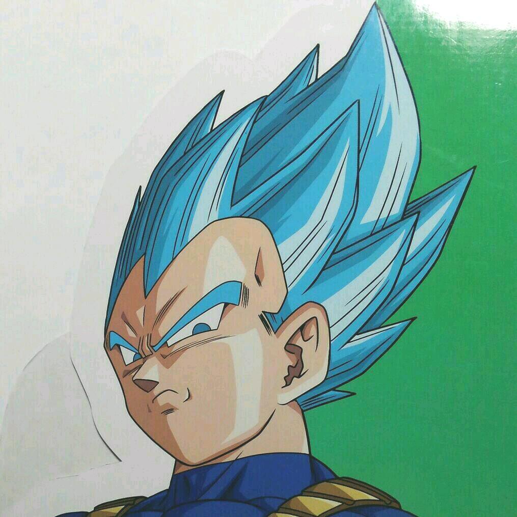 DRAGON BALL  ドラゴンボール　ベジータ　全身ボードパネル Amazon.co.jp: (Dragon Ball)ドラゴンボールベジータ (16