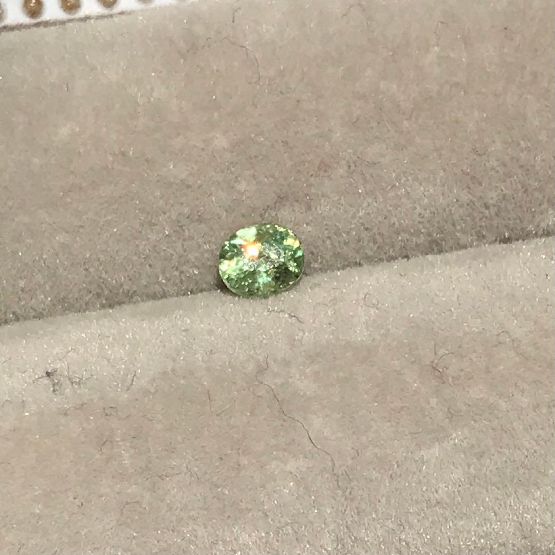 あきたむ様