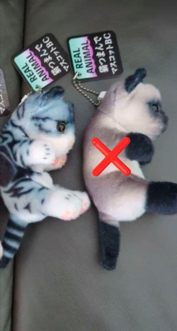 リアル猫 リアルアニマル猫つまんでマスコットBC 猫ぬいぐるみ 2個 セット