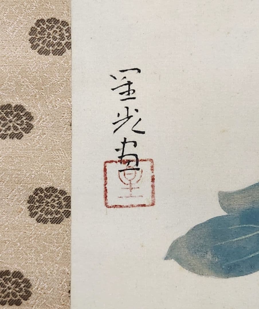 富貴図】板倉星光 2662 白牡丹 富貴花 共箱 肉筆
