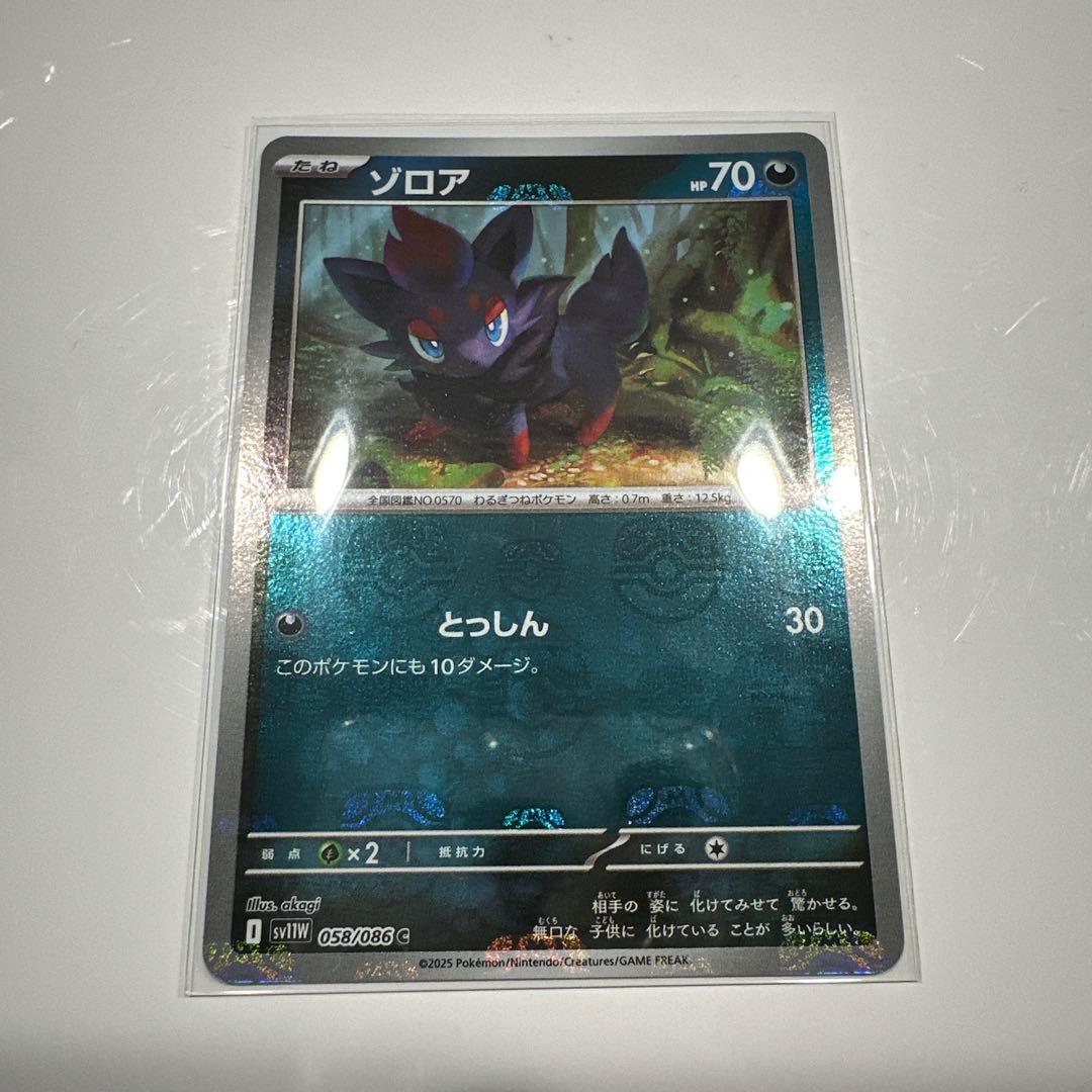 ポケモンカード ゾロア マスボミラー ホワイトフレア - メルカリ