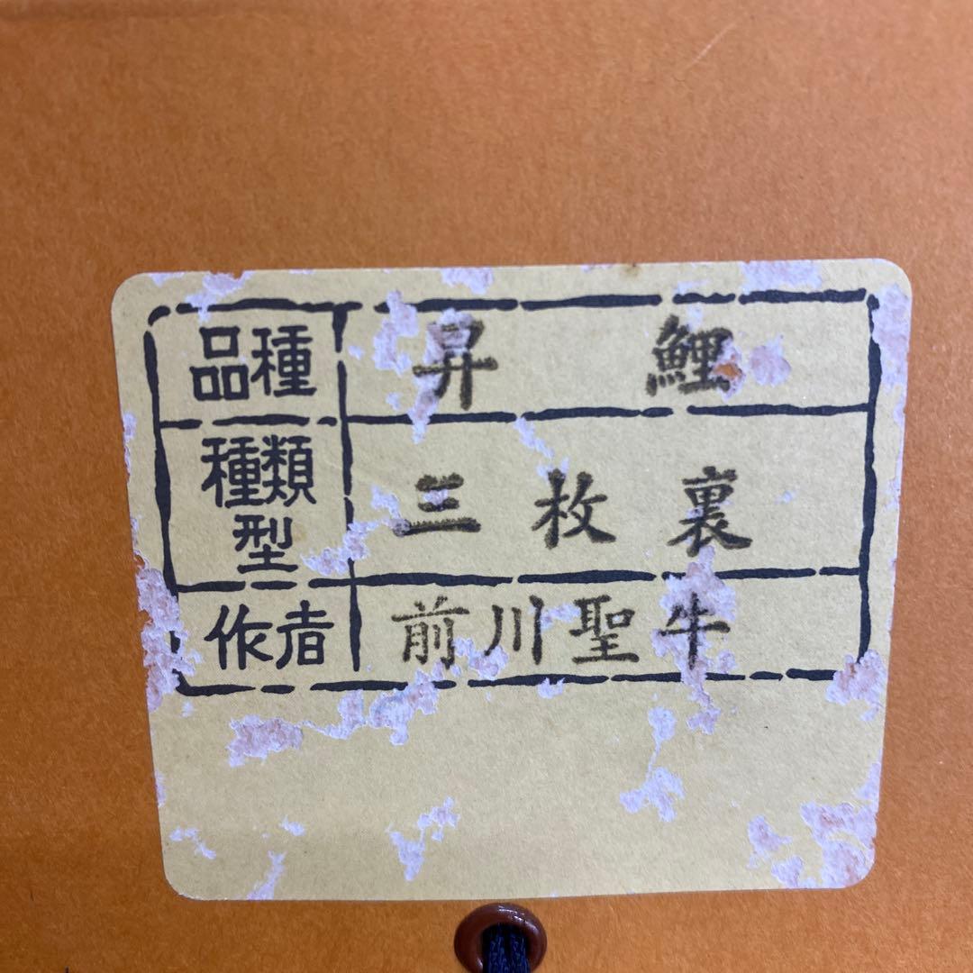 美品 掛け軸 前川聖牛作 大幅！昇鯉図 共箱 縁起物 真筆証明書 - メルカリ