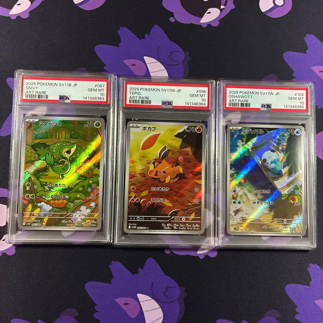 PSA10 3連番 御三家 ツタージャ ポカブ ミジュマル AR ブラホワ