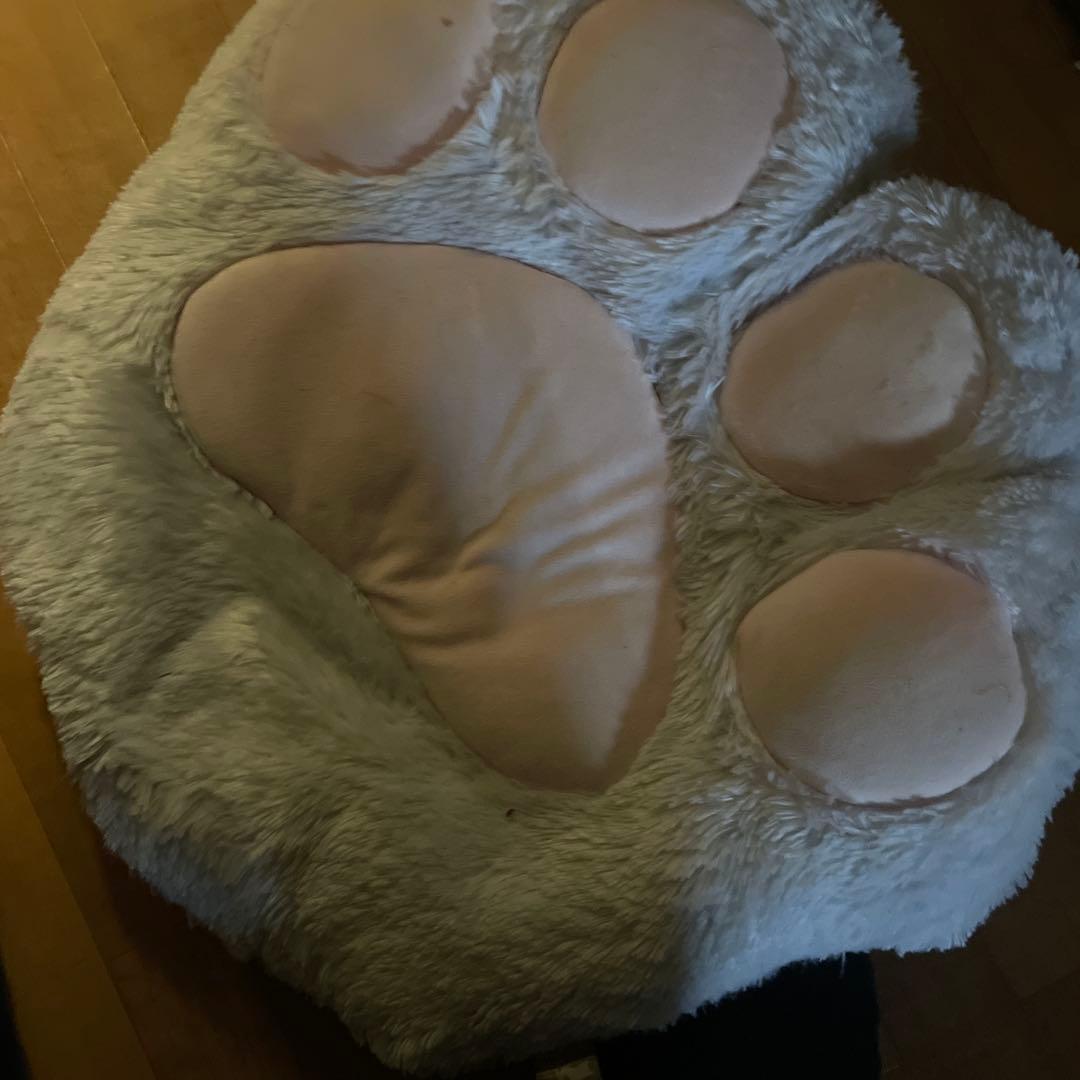 猫の手 611duZKu28L._AC_UF350,