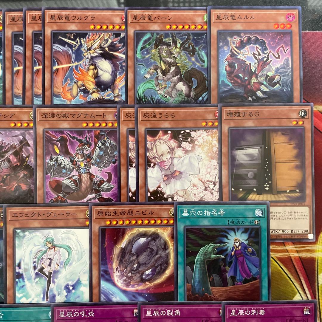 優勝構築 烙印ドラゴンテイルデッキ ファイメナ 黒き竜のエクレシア