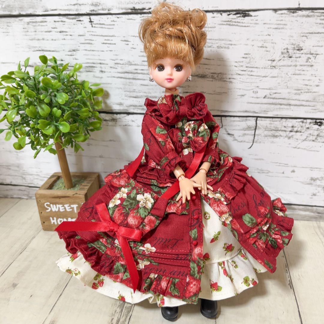 No.481【赤いちご】22センチドール ハンドメイド服 うさぎ付き - メルカリ
