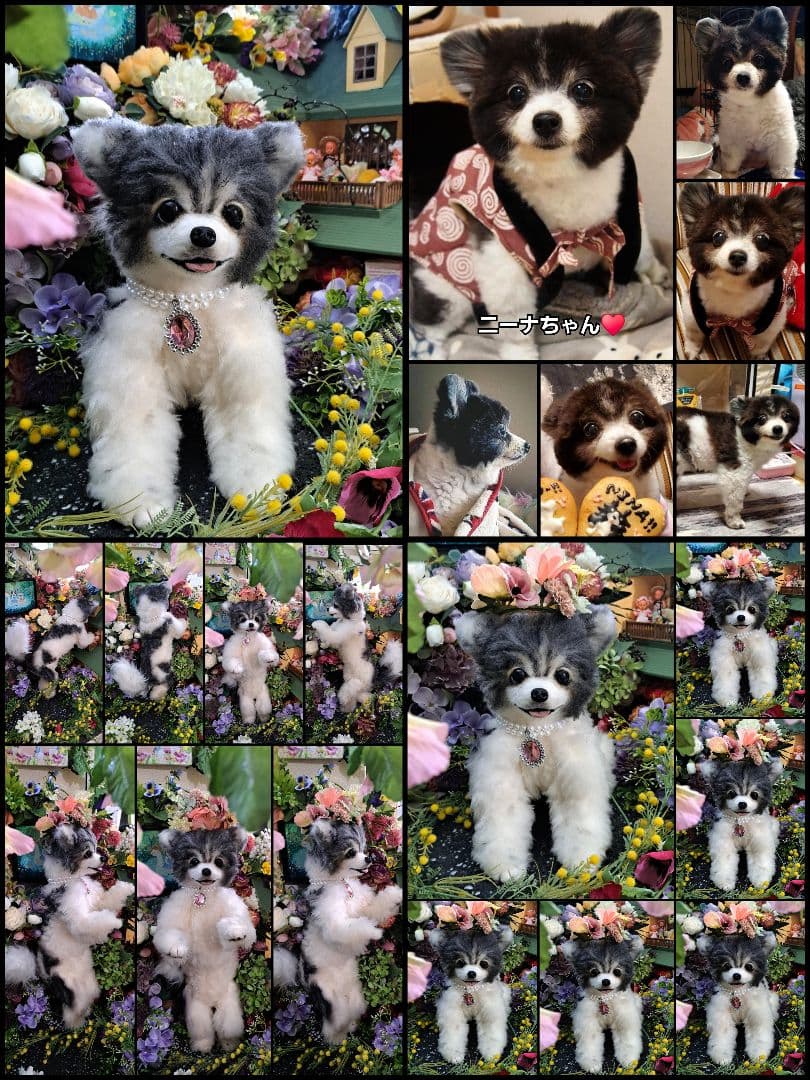 オーダー受付中♥️ 実物大 リアル 犬 ペットロス ぬいぐるみ カズコ