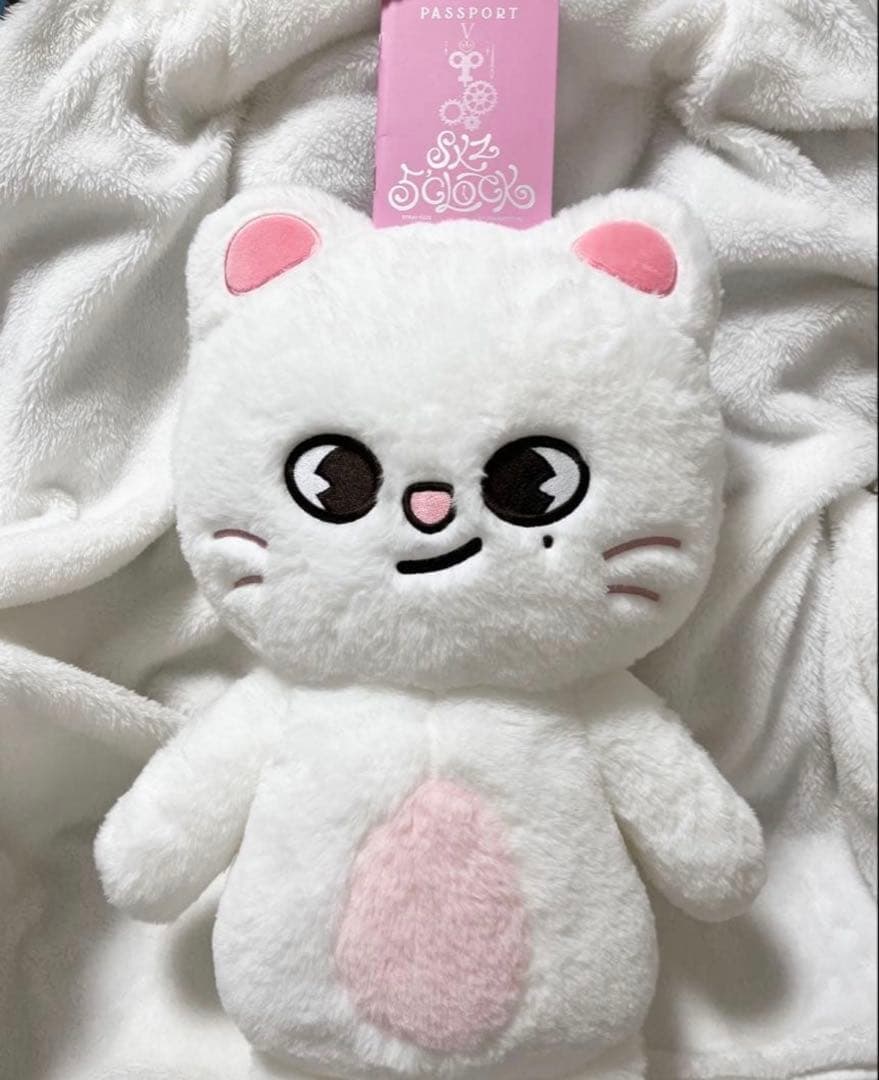 最安値】straykids ヒョンジン テディベア ぬいぐるみ SKZOO