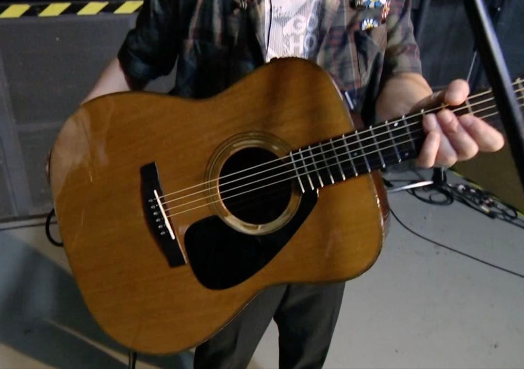 たないち　確認用画像　FG-custom dragonfly エレキギターBORDER CUSTOM 666 HH Zilicote/Light Ash