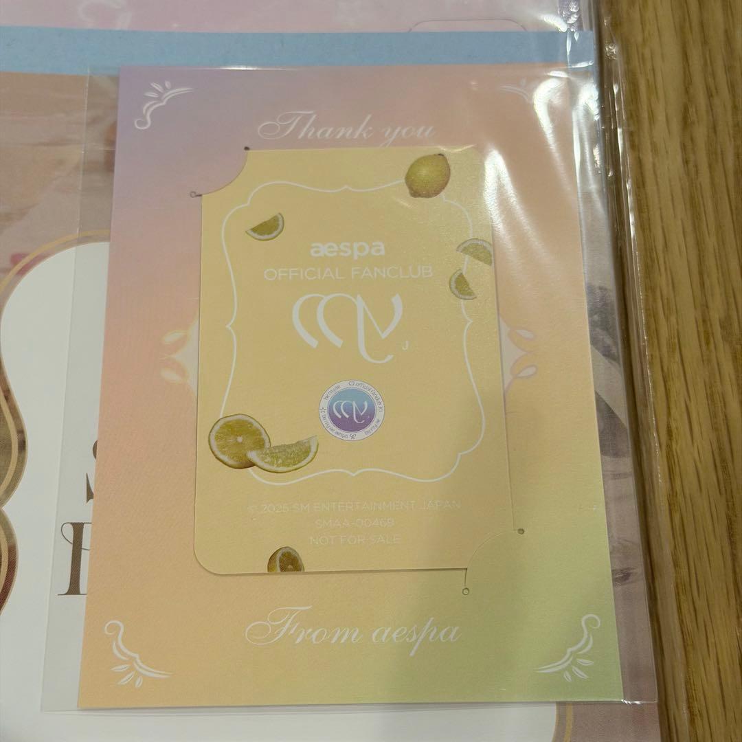 aespa ファンクラブ特典MY-J スペシャルキット ウィンタートレカ継続