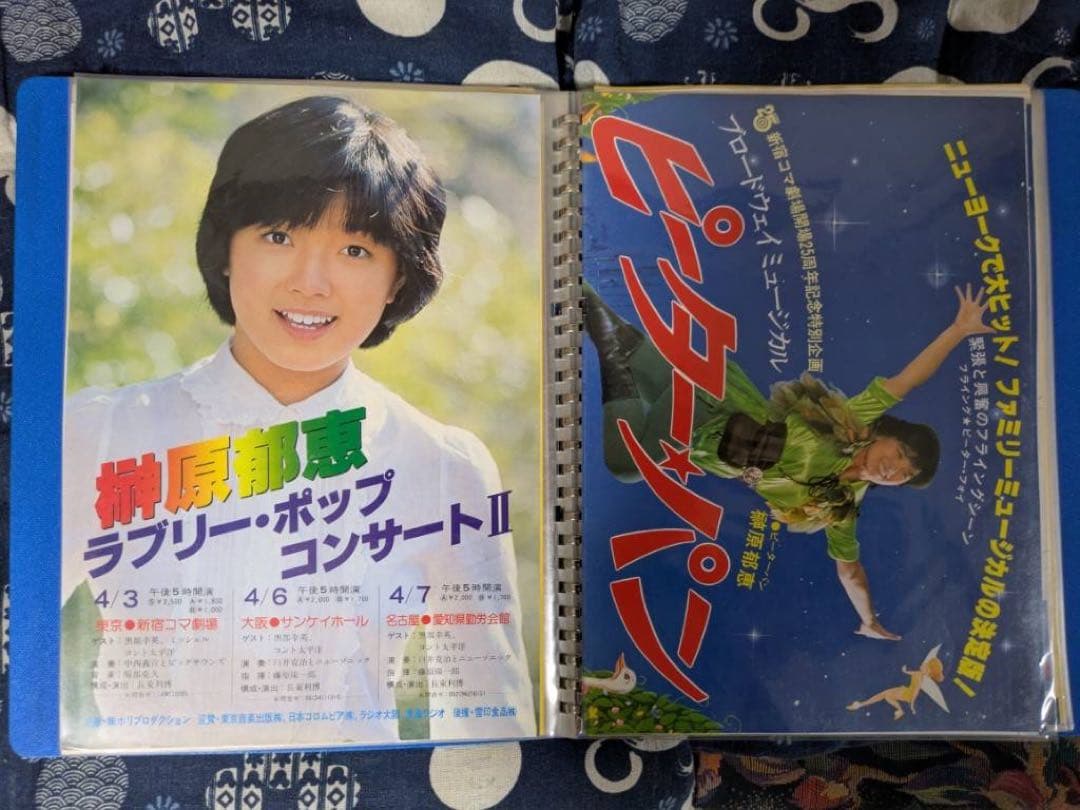 貴重】榊原郁恵 パンフレット グッズ ブロマイド