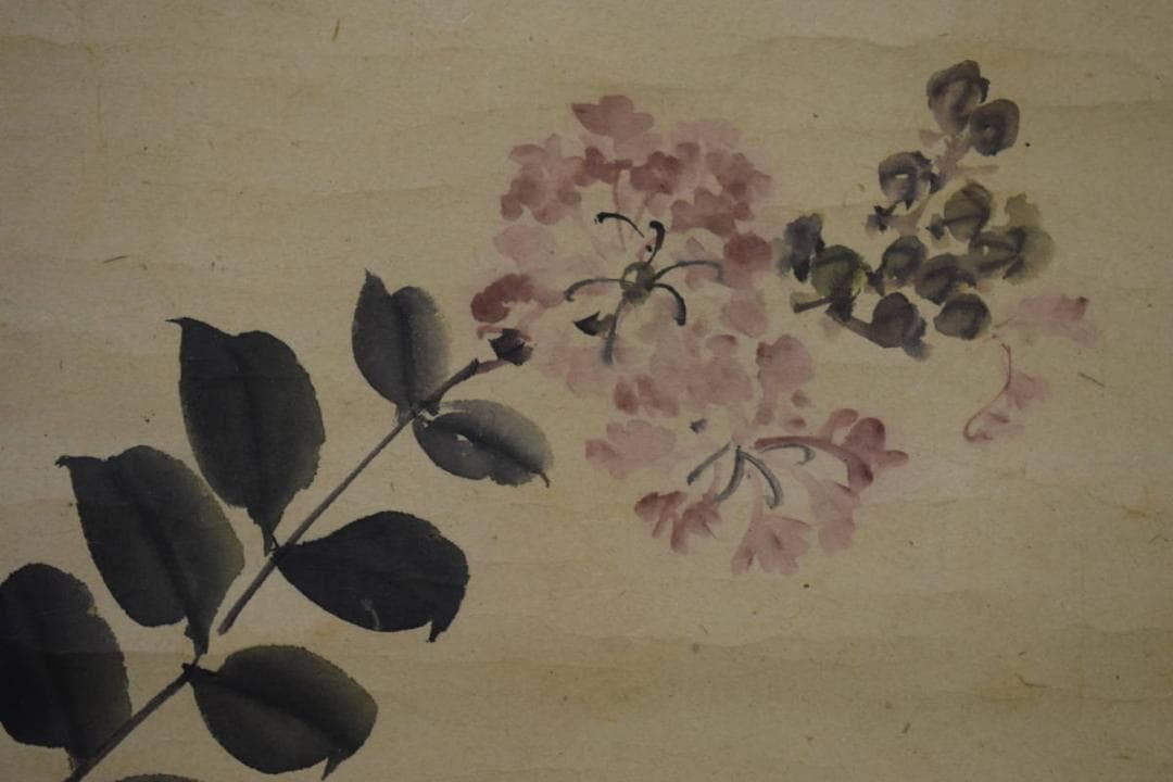 不詳/作者不詳/花図/布袋屋掛軸HJ-397 - メルカリ