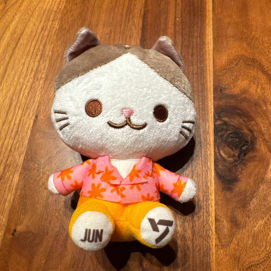 SEVENTEEN ジュン JUN ネコ ミニぬいぐるみ - メルカリ