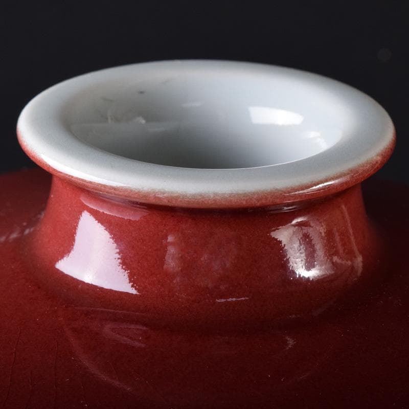 中国 中国 缸豆紅釉 龍文瓶 梅瓶 M 7313A