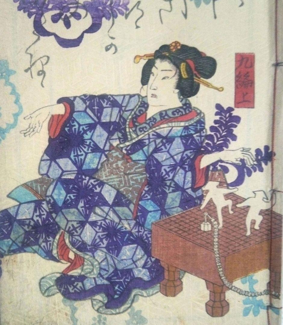 合巻版画本七ふしぎ葛飾譚九編上下二冊売りになりす。種彦著、二代国貞画